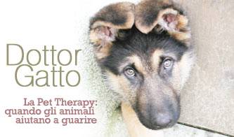 pet therapy quando l animale diventa una terapia_O1
