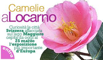 piante fiori camelie a locarno_O1