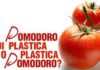 Pomodoro di plastica o plastica di pomodoro? pomodoro di plastica o plastica di pomodoro_O1