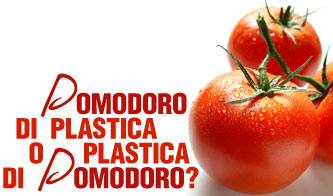 pomodoro di plastica o plastica di pomodoro_O1