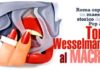 Pop art: quella di tom wesselmann in una mostra romana. pop art quella di tom wesselmann in una mostra romana_O1