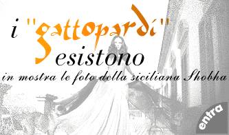 shobha la ritrattista dell aristocrazia siciliana_O1