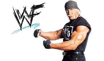 sport wrestling da bocciare_O1