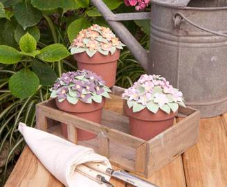 un grande salone dedicato al cakedesign_O1