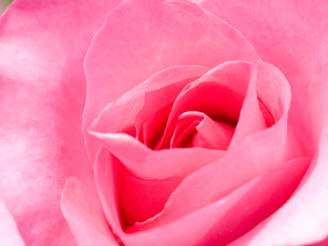 una clinica in rosa_O1