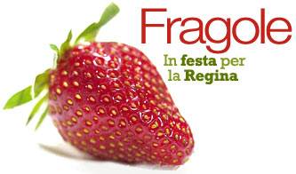 una torta da guinness dei primati per festeggiare la regina delle fragole_O1