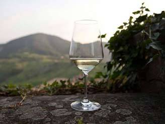 valtidone winefest_O1