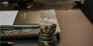 Le proprietà benefiche del CBD
