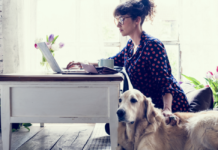 Osteoartrosi nei cani – Sintomi, Rimedi e Trattamento